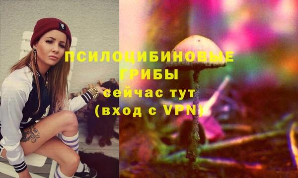 соль ск Абдулино